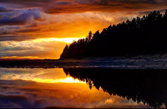 beach photo photography photographer reflection sunset trees silhouettes puddle clouds Whiterock White rock surrey