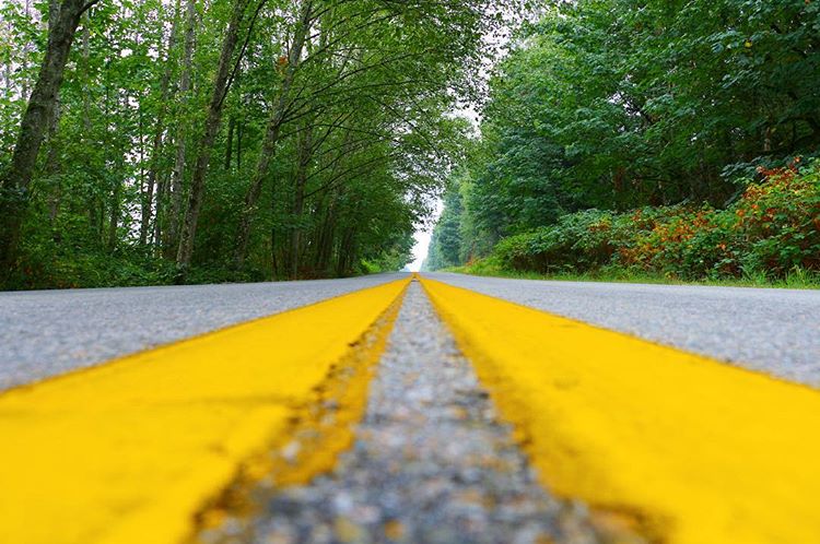 canada-british-columbia-surrey-photography-whiterock-leadinglines-lines-bushery-