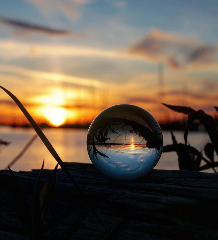 59731673_1408173459322257_2707855728632715758_n