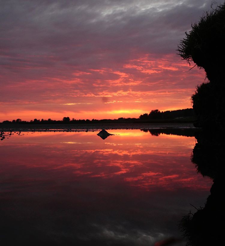 sunset-photography-photographer-surrey-mudbay-